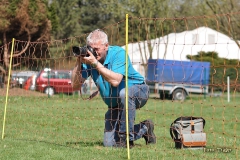 3. Lauf NDS Flyball Cup 2013