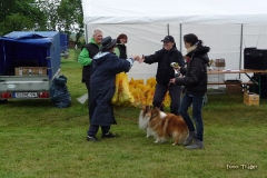 2. Lauf NDS Flyball Cup 2013 